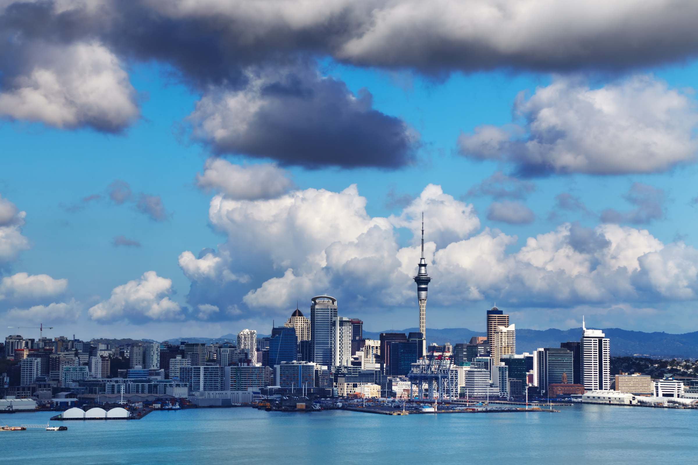 musgrave inlet, auckland islands (3).webp